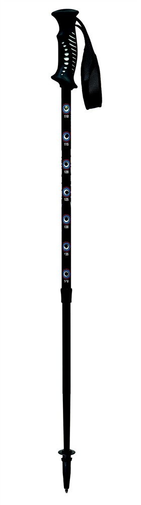 MORPHOCLIC  Pole ADULT