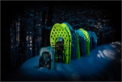 La neige est arrivée. Promotion de fin d'année